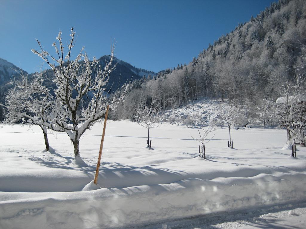 Biobauernhof Hauserbauer Hintersee Exteriör bild