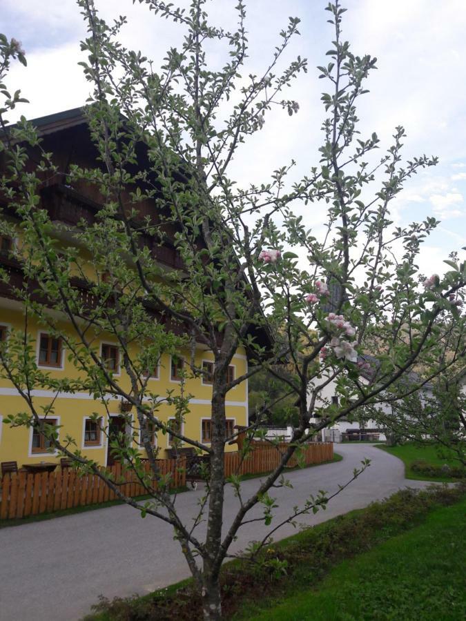 Biobauernhof Hauserbauer Hintersee Exteriör bild