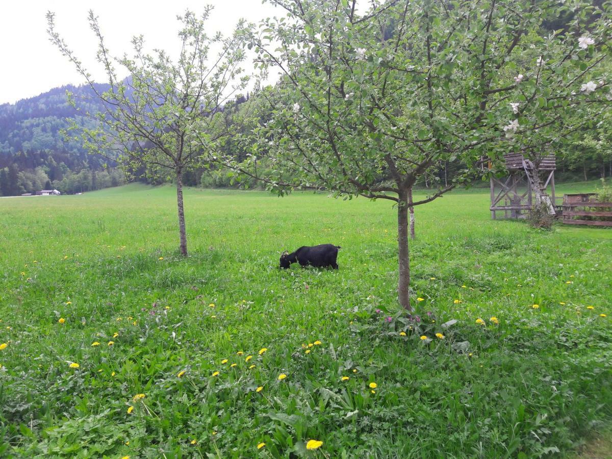 Biobauernhof Hauserbauer Hintersee Exteriör bild