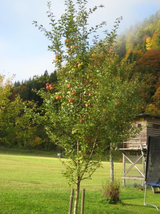 Biobauernhof Hauserbauer Hintersee Exteriör bild