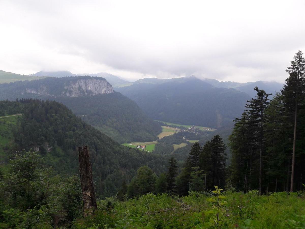 Biobauernhof Hauserbauer Hintersee Exteriör bild